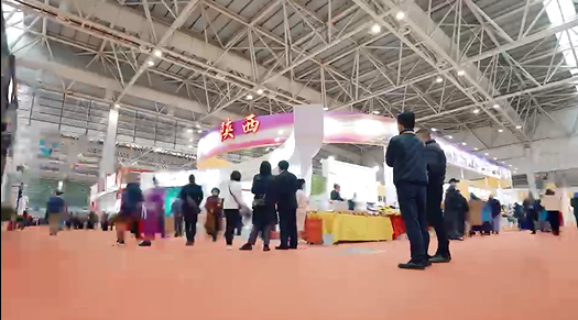 2020年“一带一路”陕西特色商品展览会宣传片2